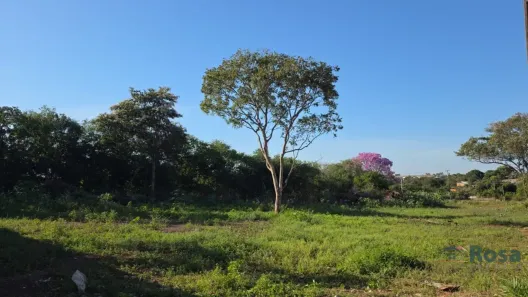 Lote/Terreno à venda, 5000m² no Santa Isabel, Várzea Grande