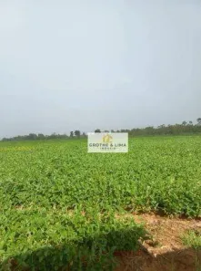 Fazenda/Sítio com 8 Quartos à venda, 900m² no Centro, Xinguara
