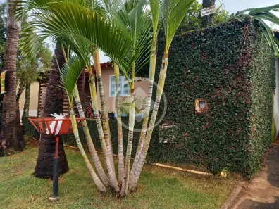 Casa de Condomínio com 3 Quartos à venda, 103m² no Fazenda São Domingos - Conjunto Residencial Terra Nova, Goiânia