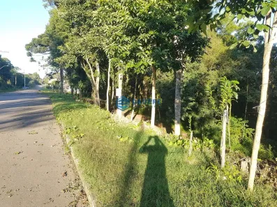 Lote/Terreno à venda, 4935m² no Pedancino, Caxias do Sul