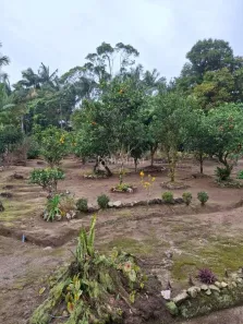 Fazenda/Sítio com 2 Quartos à venda, 80m² no , São João do Itaperiú