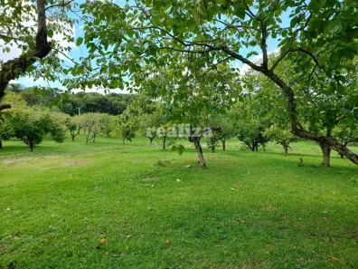 Lote/Terreno à venda, 800m² no Mato Queimado, Gramado