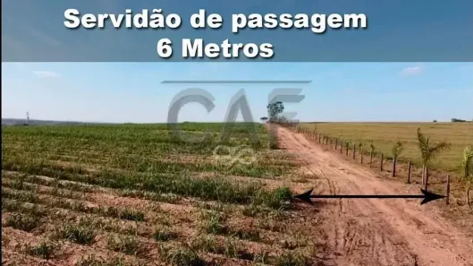 Fazenda/Sítio com 1 Quarto à venda, 10m² no Área Rural de Artur Nogueira, Artur Nogueira