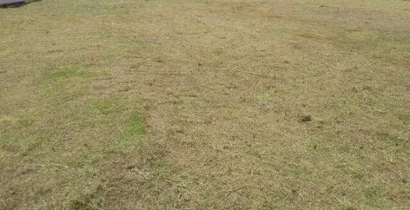 Lote/Terreno à venda, 407m² no Jardim Sul, Uberlândia