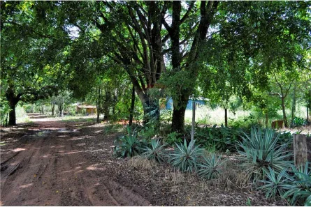 Lote/Terreno à venda, 317200m² no , Brasília