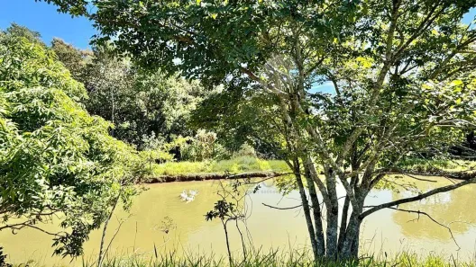 Fazenda/Sítio com 3 Quartos à venda, 66493m² no Jardim Sao Carlos, Salto de Pirapora