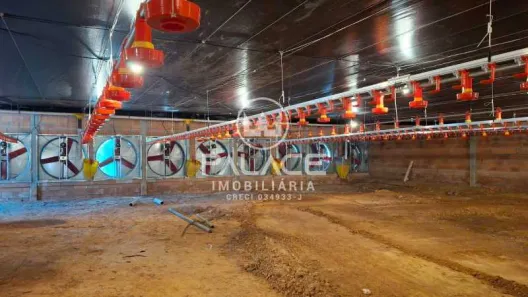 Fazenda/Sítio com 4 Quartos à venda, 54000m² no , Tietê