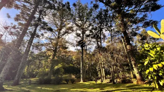 Fazenda/Sítio com 4 Quartos à venda, 195m² no Portal da Serra, Dois Irmãos
