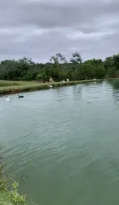 Fazenda/Sítio com 3 Quartos à venda, 30000m² no Pedra 90, Cuiabá