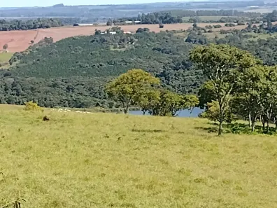 Fazenda/Sítio com 1 Quarto à venda, 1016400m² no , Angatuba