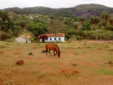 Fazenda/Sítio com 4 Quartos à venda, 430000m² no , Rio Manso