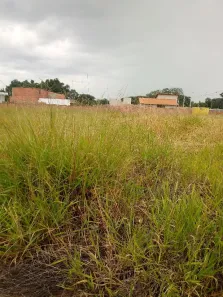 Lote/Terreno à venda, 253m² no Jardim do Bosque, São Carlos
