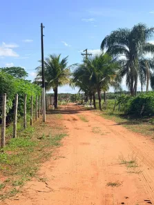 Fazenda/Sítio com 2 Quartos à venda, 29040m² no , Bálsamo