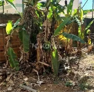 Lote/Terreno à venda, 450m² no Vila Mazzei, São Paulo