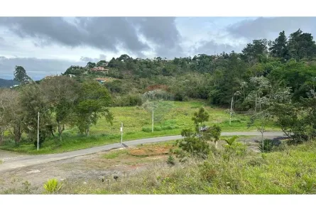 Lote/Terreno à venda, 10000m² no Salvaterra, Juiz de Fora