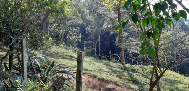 Fazenda/Sítio com 3 Quartos à venda, 122000m² no Bairro do Morro, Itatiba