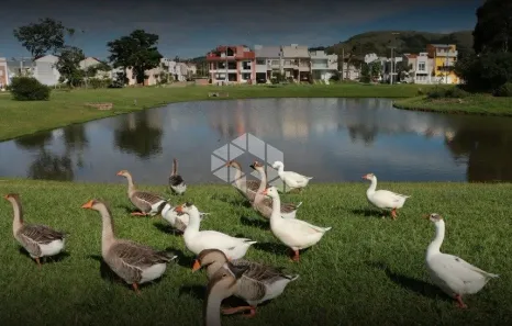 Lote/Terreno à venda, 161m² no Hípica, Porto Alegre