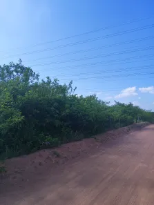 Fazenda/Sítio com 2 Quartos à venda, 11000000m² no , Parazinho