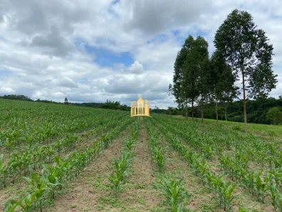 Fazenda/Sítio com 7 Quartos à venda, 300m² no São José, Esmeraldas