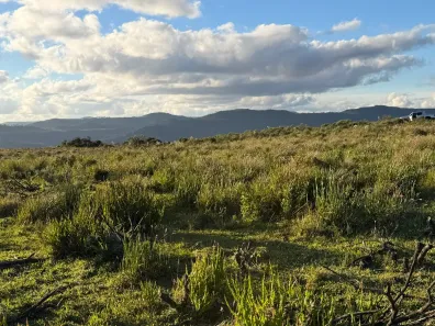 Fazenda/Sítio à venda, 20000m² no , Urubici
