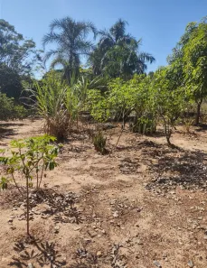 Fazenda/Sítio com 1 Quarto à venda, 2500m² no Chácara São Sebastião, Santa Bárbara D'Oeste