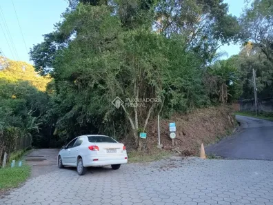 Lote/Terreno à venda, 6000m² no Pantanal, Florianópolis