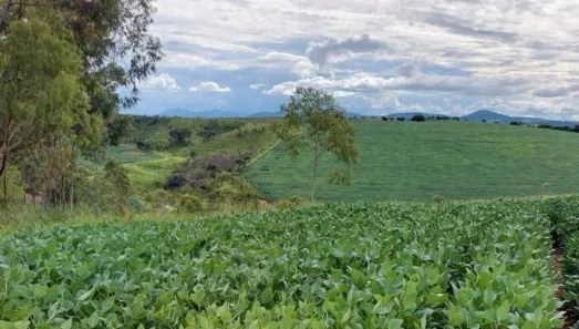 com 3 Quartos à venda, 178m² no , Aiuruoca
