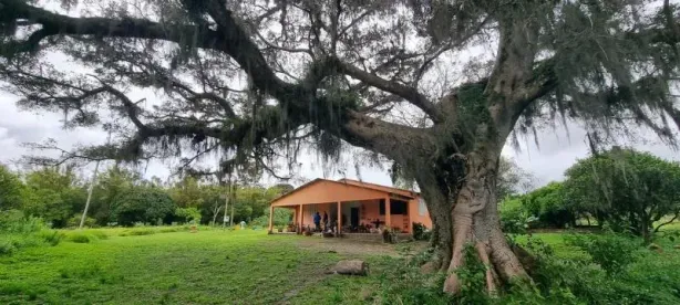 Fazenda/Sítio com 4 Quartos à venda, 100000m² no Área Rural de Águas Claras, Viamão