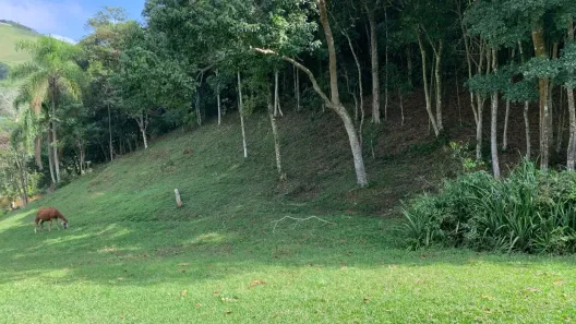 Lote/Terreno à venda, 4000m² no Ajuda, Guararema