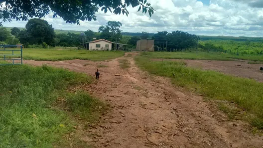 Fazenda/Sítio com 2 Quartos à venda, 20805200m² no , João Pinheiro