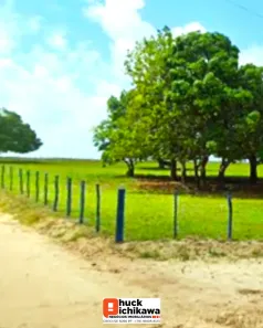 Fazenda/Sítio à venda, 3025000m² no Centro, Umbaúba