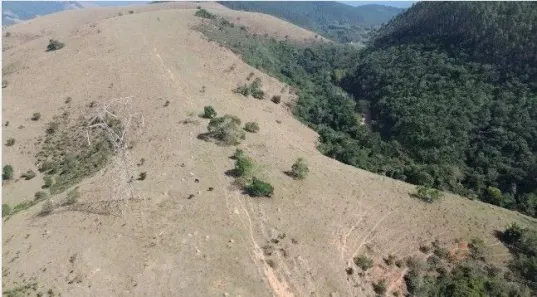 Fazenda/Sítio à venda, 170000m² no Bom Sucesso, Pindamonhangaba