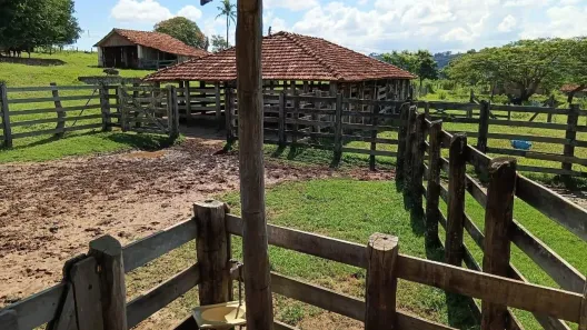 Fazenda/Sítio com 4 Quartos à venda, 108m² no Centro, Vera Cruz