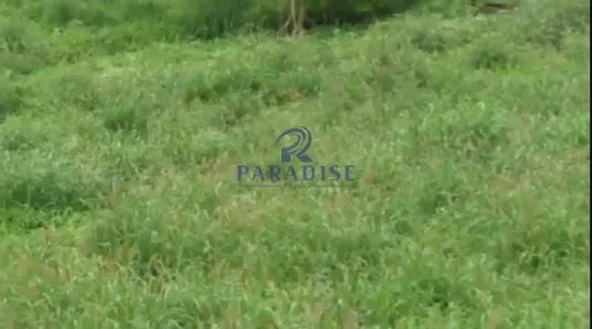 Fazenda/Sítio à venda, 357m² no Jaguara, Feira de Santana