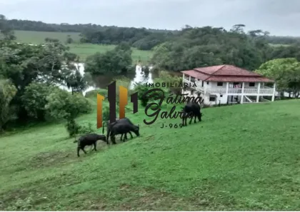 Fazenda/Sítio à venda, 8160000m² no , Marapanim