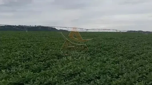 Fazenda/Sítio com 1 Quarto à venda, 2492600m² no , Casa Branca