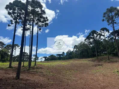 Lote/Terreno à venda, 20221m² no , Campo Alegre