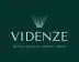 Miniatura da foto de Videnze - Inteligência Imobiliária