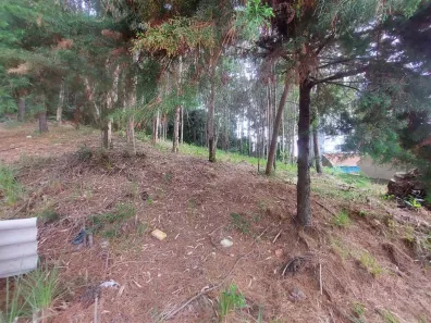 Lote/Terreno à venda, 360m² no Santa Lúcia, Caxias do Sul