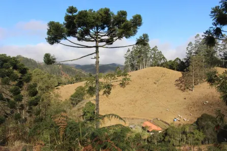 Fazenda/Sítio à venda, 170000m² no , Cunha