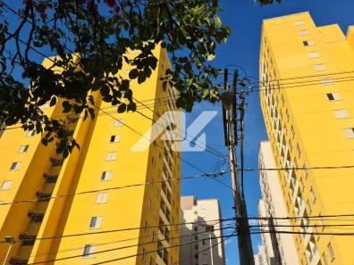 Apartamento com 3 Quartos para alugar, 73m² no Vila Nova, Campinas