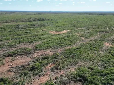Fazenda/Sítio à venda, 454m² no , Arraias