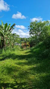 à venda, 180000m² no Banco da Vitória, Ilhéus