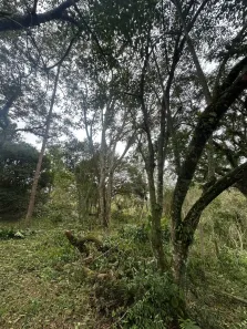 Lote/Terreno à venda, 1000m² no , Mairinque