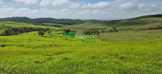 Fazenda/Sítio à venda, 5000m² no Centro, Lorena