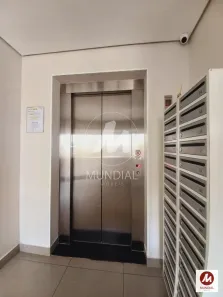 Apartamento com 2 Quartos à venda, 53m² no Jardim Zara, Ribeirão Preto