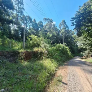 Lote/Terreno à venda, 800m² no Dos Boêmios, Nova Petrópolis