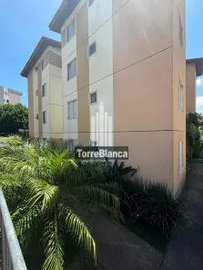 Apartamento com 2 Quartos à venda, 51m² no Estrela, Ponta Grossa