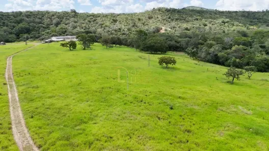 Fazenda/Sítio com 4 Quartos à venda, 270000m² no Setor Tradicional, Brasília