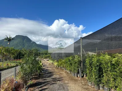 Fazenda/Sítio com 1 Quarto à venda, 8300m² no Dona Francisca (Pirabeiraba), Joinville